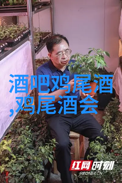从原料到工艺看茶啤和普通啤酒如何决定价格高低