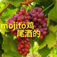 大型啤酒生产厂家招商加盟-啤酒全国招商-啤酒代理意向咨询