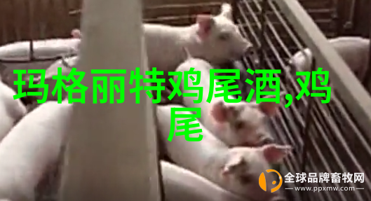 金汤力鸡尾酒的故事你知道吗